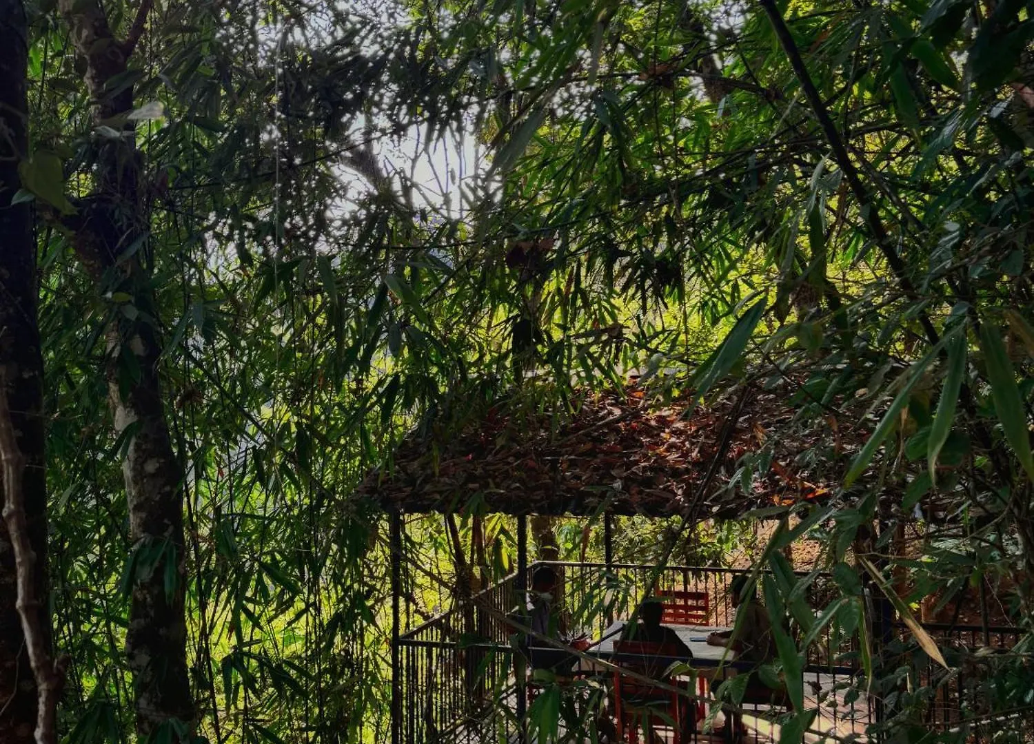 300 Hills Fort Meppādi